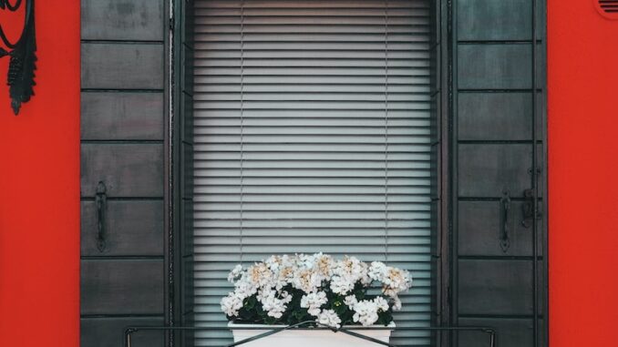 uploaded-image-kripto-sanat-ve-sanal-koleksiyonlarin-degerleri-1697803139369
